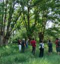 El curso de la UVT sobre los chopos cabeceros incide en su valor para el desarrollo rural