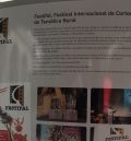 Zaragoza acoge el Encuentro Nacional  de Festivales de Cine