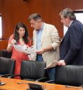 Las Cortes acuerdan que haya colaboración para reparar carreteras que daña la minería