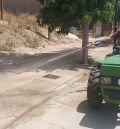Siete pueblos del Bajo Aragón afrontan una plaga de chinches de campo