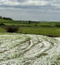 La provincia suma 30.900 hectáreas  de cultivo siniestradas por el pedrisco