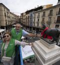 Más de 2.300 euros se recaudaron por ponerle el pañuelico al Torico
