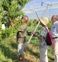Una delegación de la Cámara de Comercio Hispano Japonesa visita la provincia de Teruel