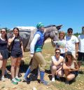 La Comarca del Maestrazgo refuerza la coordinación de sus oficinas de turismo