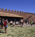 Los Amigos del Castillo de Peracense llevan  al papel las historias grabadas en piedra
