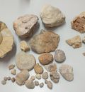 La Guardia Civil de Teruel interviene en un caso de expolio de 40 fósiles y minerales en Villar del Cobo