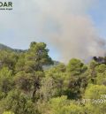 Controlado el incendio que ha obligado a desalojar El Parrizal de Beceite