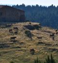 Chunta se posiciona en contra del macroalmacén de CO₂ proyectado en el Maestrazgo