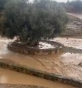 Una tormenta de viento, lluvia y agua causa afecciones en tejados, cultivos y arbolado en el Matarraña y el Bajo Aragón