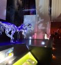 ‘Los 5 magníficos’ del Museo Paleontológico aragonés, el quinteto de oro  de la dinosauriología de este siglo