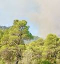 El Gobierno habilita la vía para que los damnificados por los 114 incendios forestales registrados en los últimos dos meses, entre ellos el de Beceite, soliciten ayudas y subvenciones