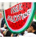 Deshumanización y violencia en Palestina. La herida abierta