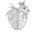 Cefalea cardiaca: contribuyendo a la Clasificación Internacional de Cefaleas