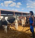 Del despacho a la granja: el giro vital de una mujer que apostó incondicionalmente por su tierra