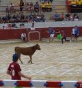 Las vaquillas regresan al coso taurino y a la céntrica plaza de Los Arcos de Alcorisa