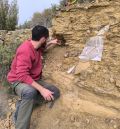 Una investigación revela nuevos grupos de dinosaurios herbívoros en el Jurásico a través de fósiles de Teruel y Valencia
