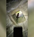 La Guardia Civil rescata a un perro abandonado siete días en un aljibe e investiga a una persona por maltrato animal en Calanda