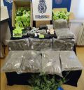 Detenido en Teruel con 14 kilos de cogollos de marihuana y 2 kilos de resina de hachís