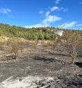Controlado un incendio forestal en Mazaleón de entre dos y tres hectáreas