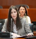 Las Cortes de Aragón solicitan que se estudie la incorporación del vial que une Cella con el aeropuerto a la red regional de carreteras