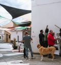 Lonas con sabiduría del pasado abren una puerta al recuerdo  en El Vallecillo