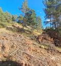 Preocupación vecinal por la presencia de restos de cortas en montes de la comarca de Gúcar-Javalambre