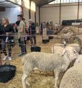 El laboratorio de Algete confirma que los casos de lengua azul de Teruel son de serotipo 3
