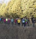 La Aragón Sur bate otra vez su propio récord con más de 900 participantes