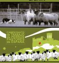 Vuelve a Valderrobres el Campeonato de Trabajo de Perros Pastores de España