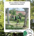 La Asociación Acacia anima a participar este domingo en una ruta de árboles singulares por Teruel