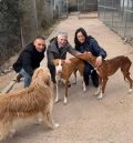 El ministro Marlaska visita la protectora de Utrillas y se interesa por sus perros y gatos
