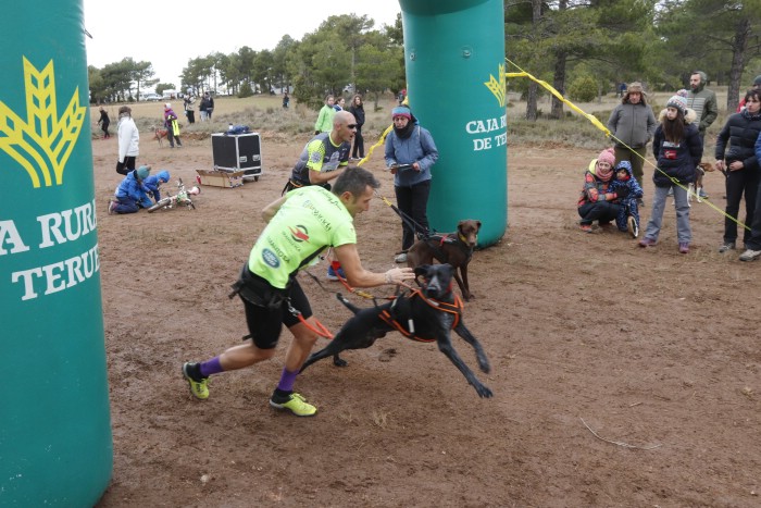 El I Mushing Mudéjar, disputado en Valdecebro, fue la segunda prueba puntuable de la Copa de España