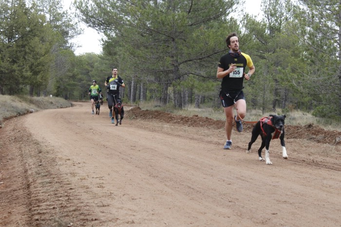 El I Mushing Mudéjar, disputado en Valdecebro, fue la segunda prueba puntuable de la Copa de España