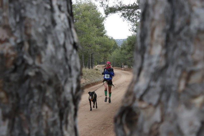 El I Mushing Mudéjar, disputado en Valdecebro, fue la segunda prueba puntuable de la Copa de España