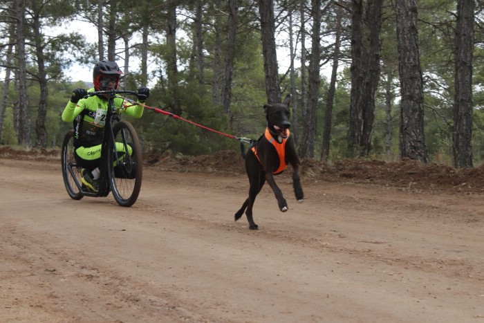 El I Mushing Mudéjar, disputado en Valdecebro, fue la segunda prueba puntuable de la Copa de España