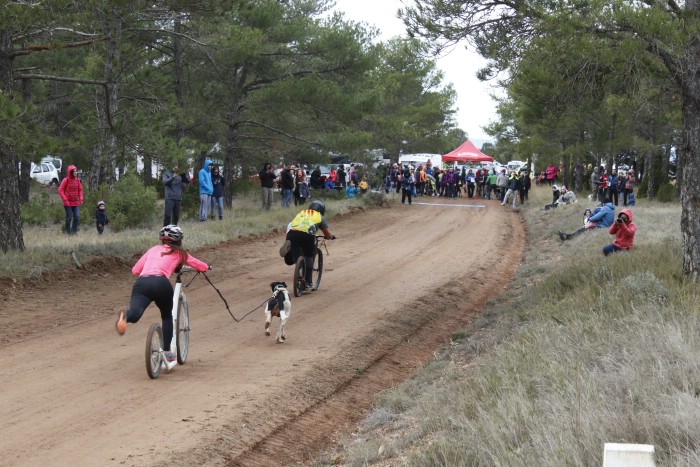 El I Mushing Mudéjar, disputado en Valdecebro, fue la segunda prueba puntuable de la Copa de España