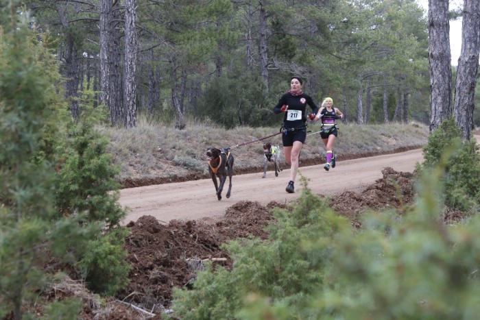 El I Mushing Mudéjar, disputado en Valdecebro, fue la segunda prueba puntuable de la Copa de España