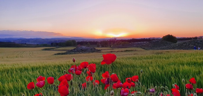 Fotografía de Luis Andrés, ganador de la categoría ‘Naturaleza’