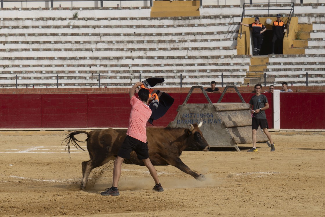 385_vacas18.jpg