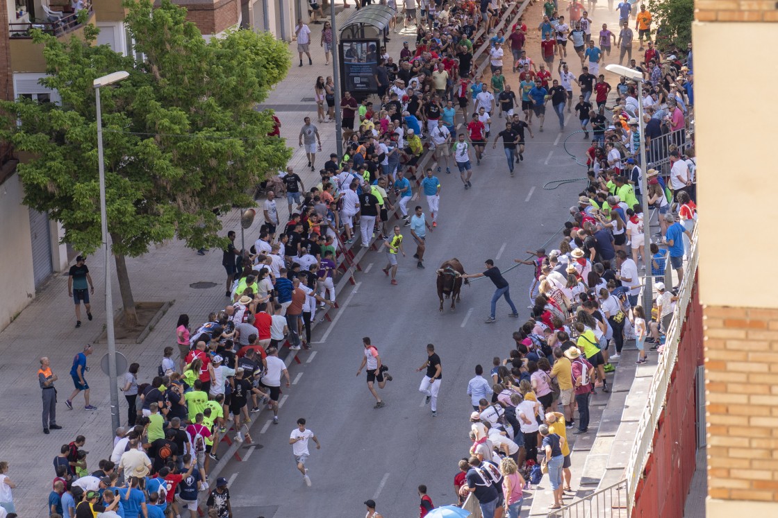 En panorámica las carreras se ven mejor