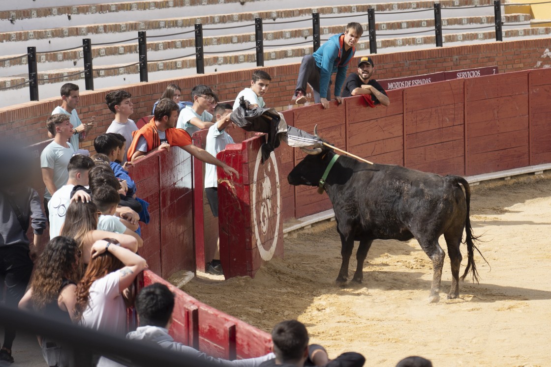 503_toros02.jpg