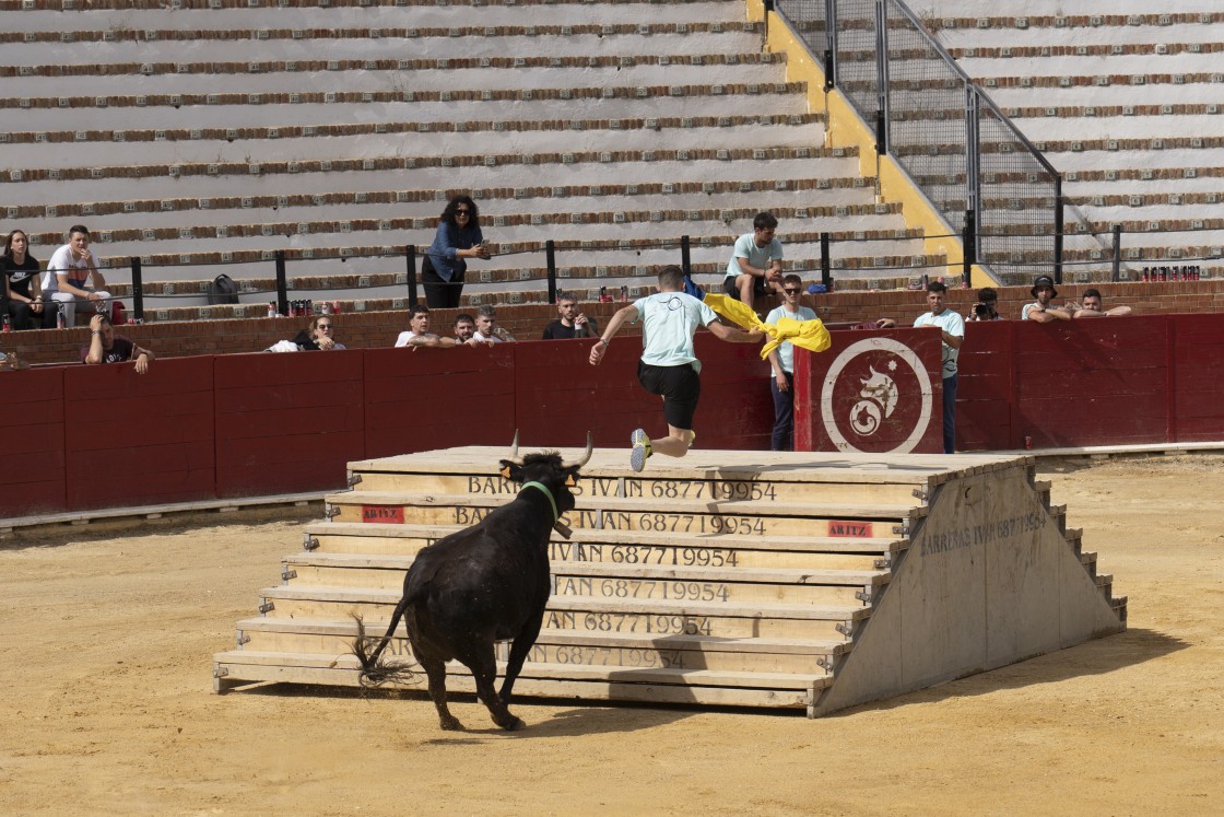 503_toros05.jpg