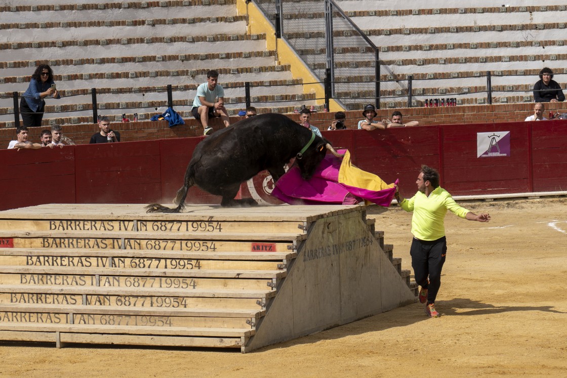 503_toros08.jpg