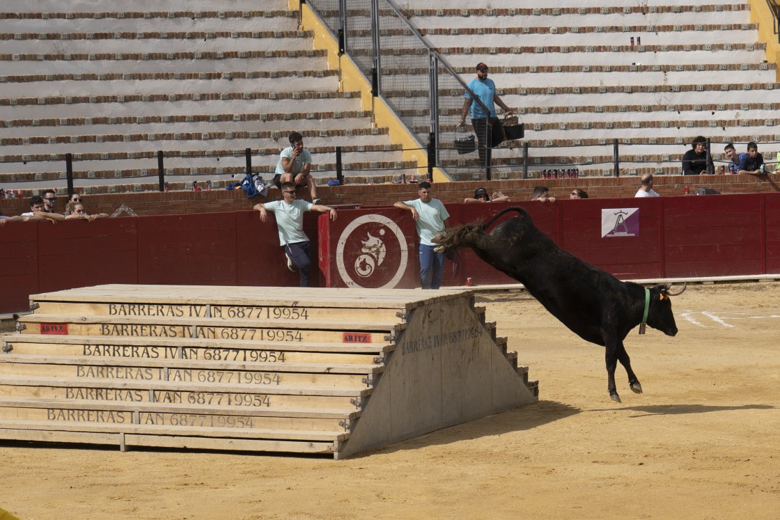 503_toros15.jpg