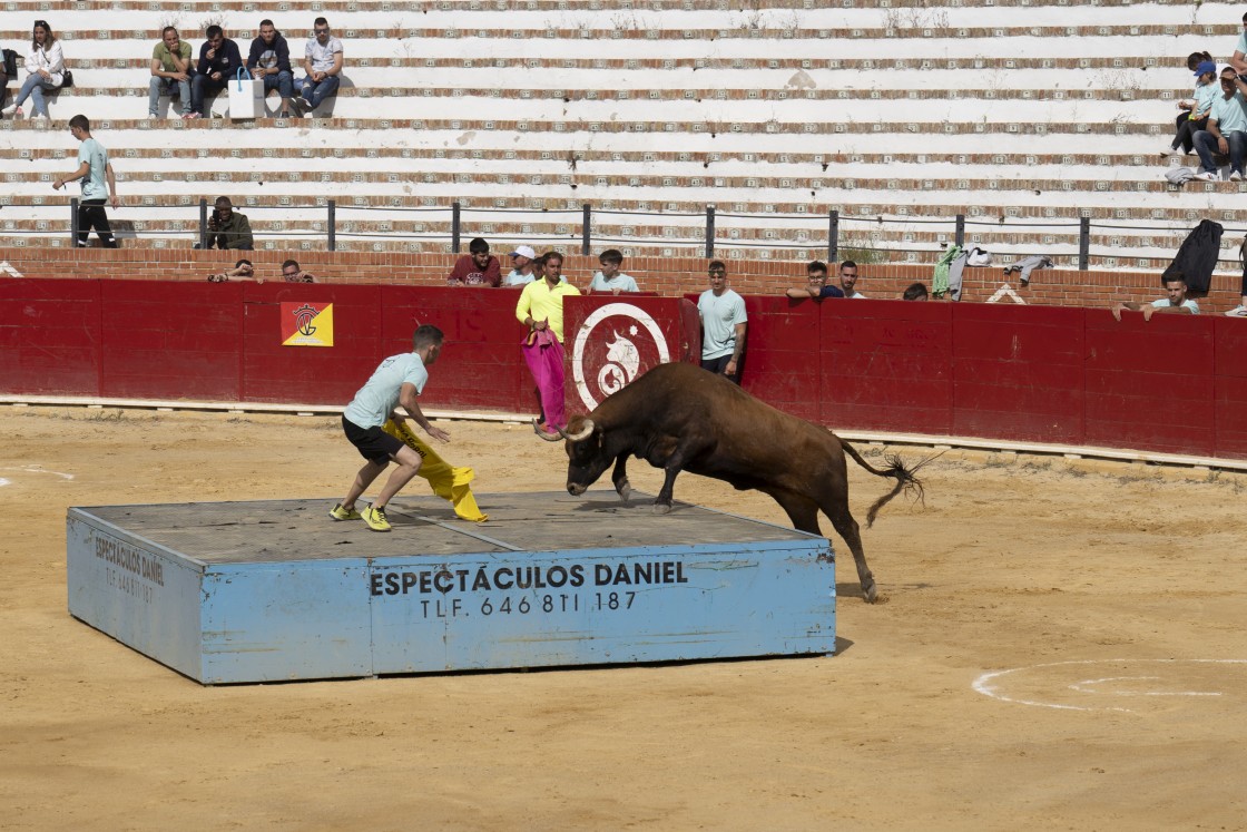 503_toros18.jpg