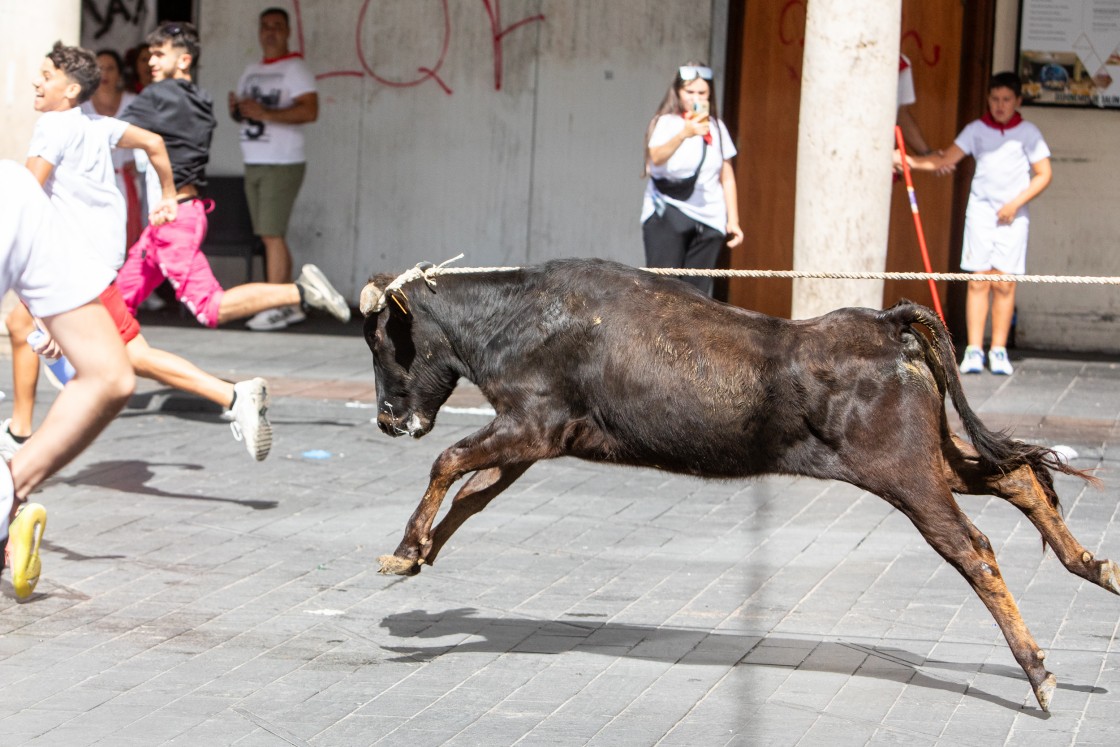 528_img-7032.jpg