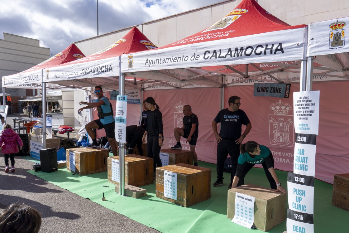 558_expo-calamocha01.jpg