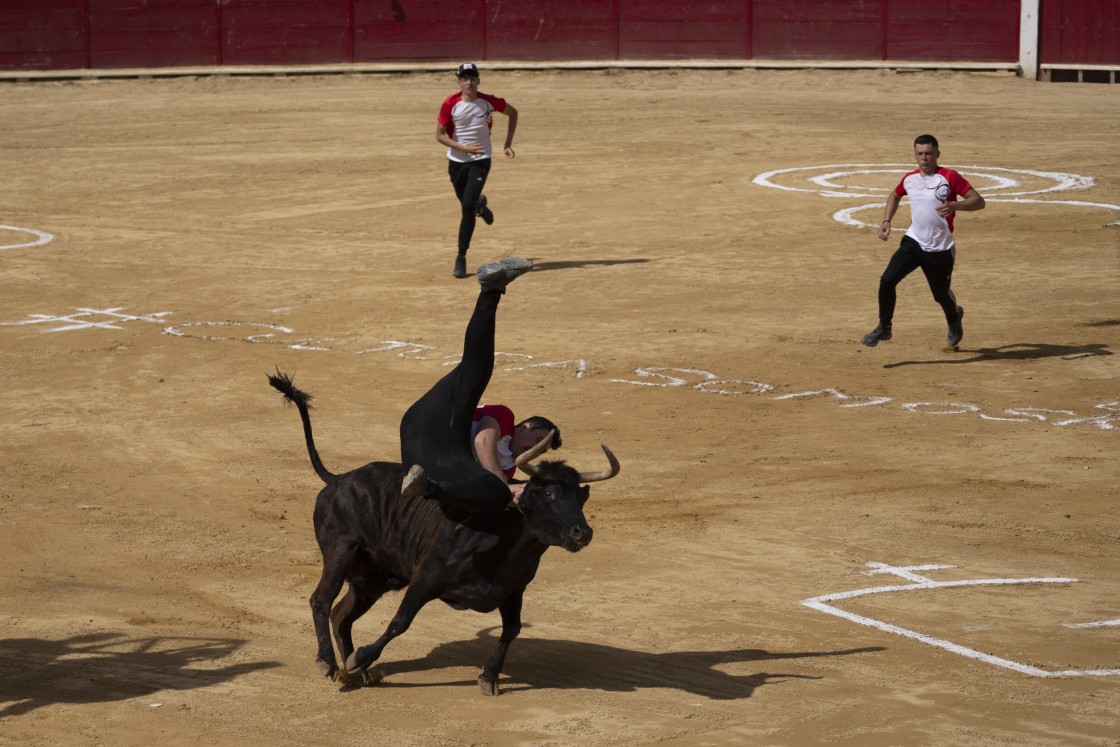 El Ruedo cita a seis ganaderías en la plaza de toros de Teruel