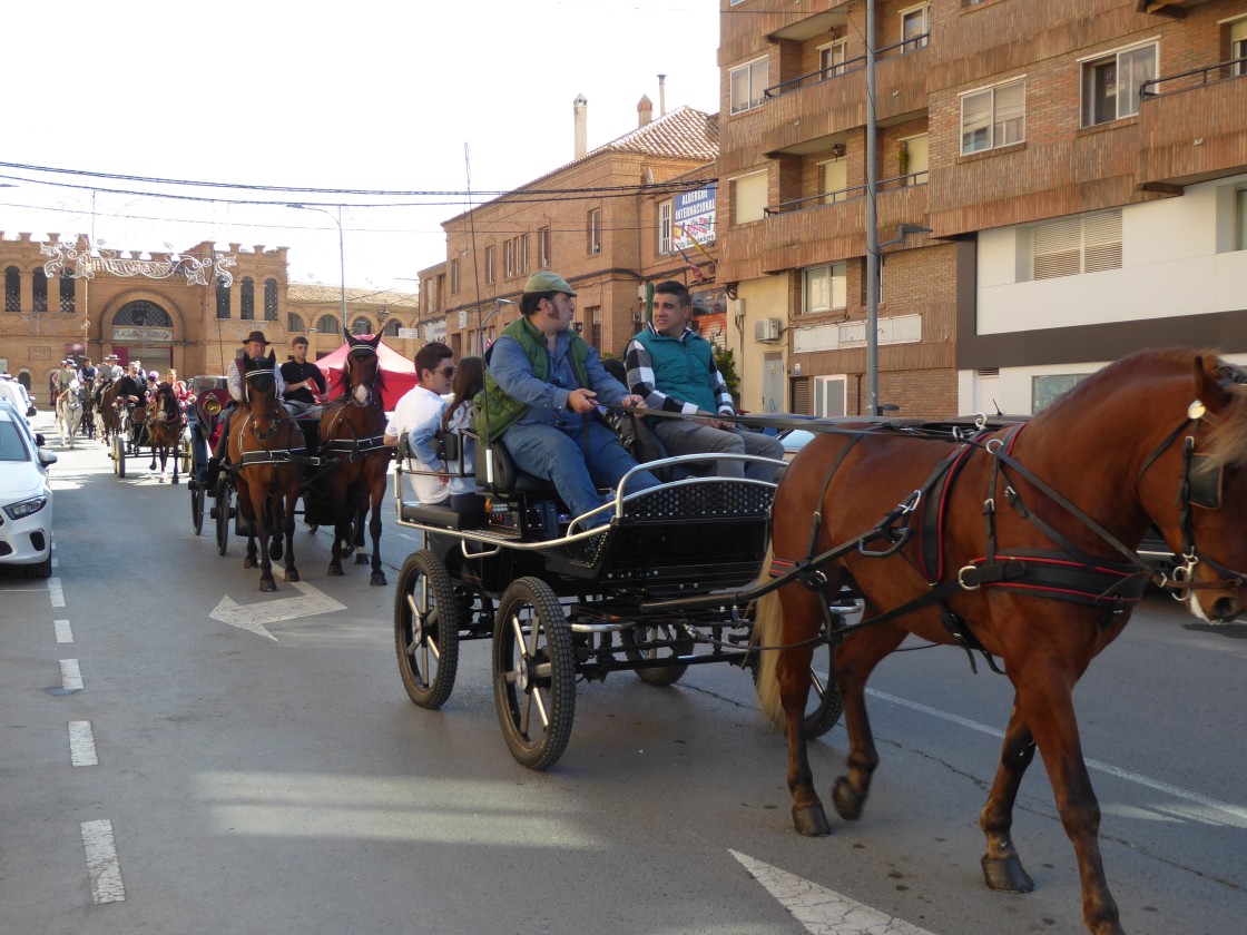 746_p1280767.jpg