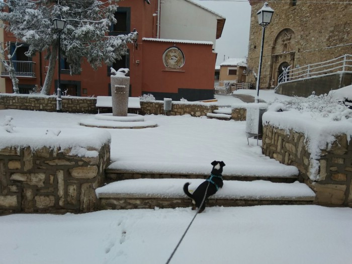 Nevada en Palomar de Arroyos